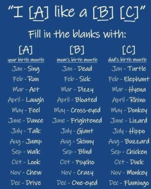 I_____like a______.jpg