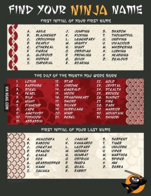 ninja.jpg
