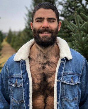 74938560 Mr Tree Farm, Ohio.jpg