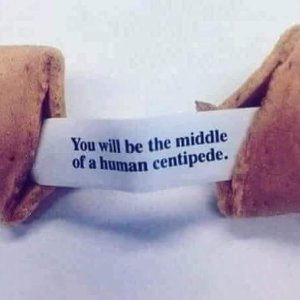 fortunecookie .jpg