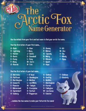 arctic fox.jpg