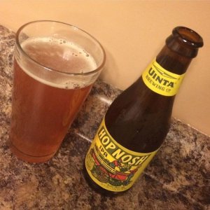 Uinta Brewing Co.jpg