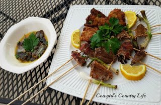 rattlesnake 023res12.jpg