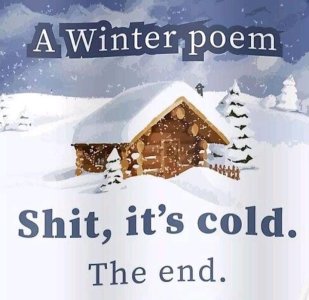 winter poem .jpg