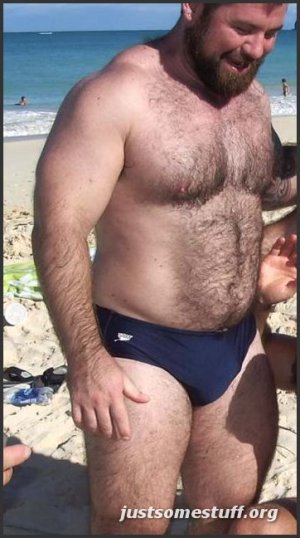 beachbearspeedos.jpg