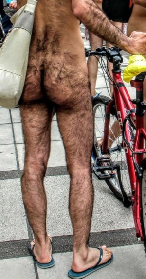 zmuy velludo eiire r.jpg