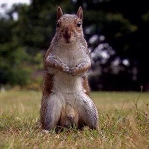 wlb2xvxp0yi11.jpg wlb2xvxp0yi11.jpg