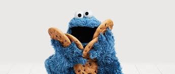 cookie monster.jpg
