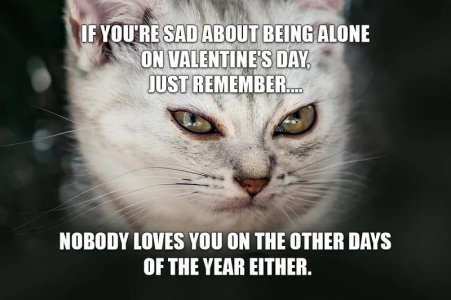 Valentine-s-Day-Memes-With-Stock-Photos_11.jpg