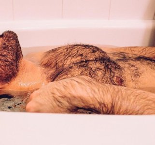 The Gay Gaston 66273108.jpg