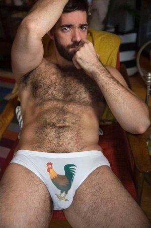 The Gay Gaston 87574199.jpg