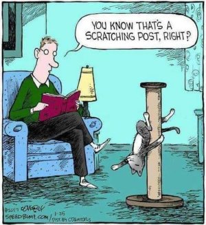 scratchingpost .jpg