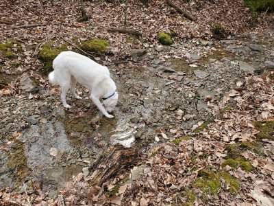 20210309_114655.jpg 20210309_114655.jpg