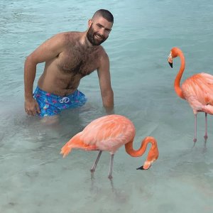 Flamingo Beach on Renaissance Island, Aruba 62161999.jpg