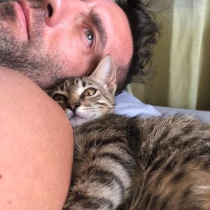 Daniel Cleland 65312221.jpg