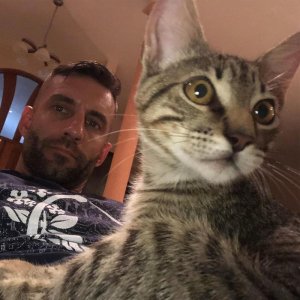 Daniel Cleland 66387065.jpg