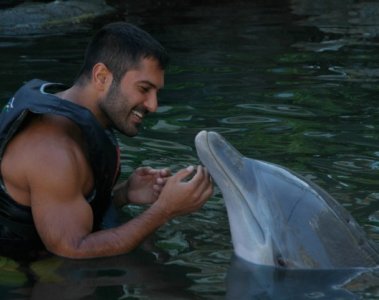 18 August 2011 11078986.jpg