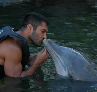 18 August 2011 11142385.jpg