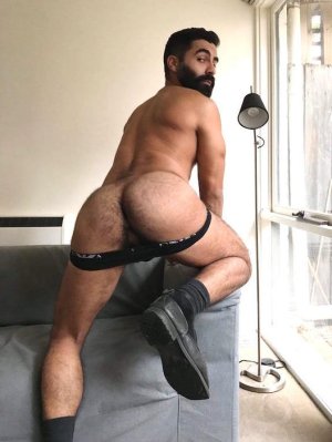 hairy-butt-gb042.jpg