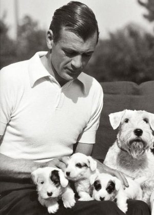 mrdog 114   gary  cooper   1933   .jpg