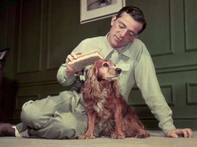mrdog 116  Dana  Andrews  1950    .jpg