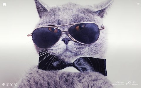 bow tie.jpg bow tie.jpg