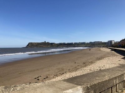 BA7A2331-541A-46FE-AF35-5588BCB2F358.jpg BA7A2331-541A-46FE-AF35-5588BCB2F358.jpg