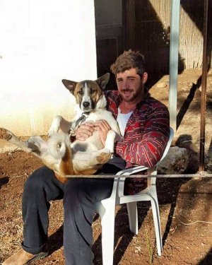 Daniel Ben Harosh 20686802.jpg