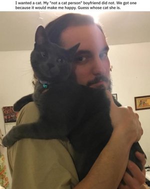 bf and cat.jpg
