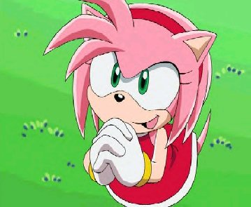amy_rose_sonic_x.jpg