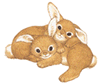 CuteBunnies17957.gif