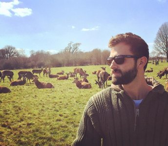 Richmond Park 12677406.jpg