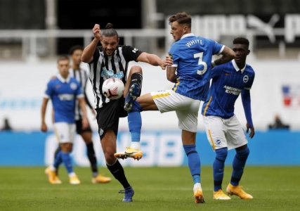 newcalb ben white.jpg.gallery.jpg