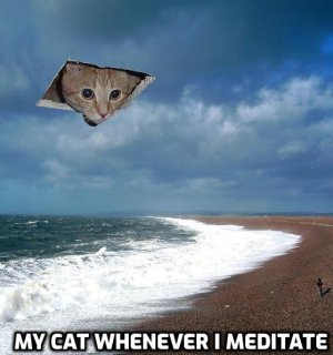 meditate.JPG meditate.JPG