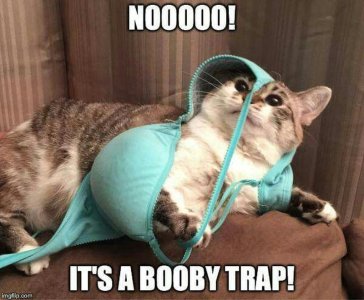 boobby trap.jpg