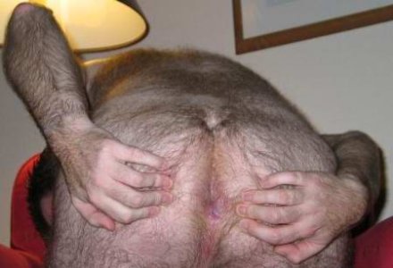 HairyManAss-0003.jpg