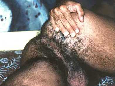 HairyManAss-0037.jpg