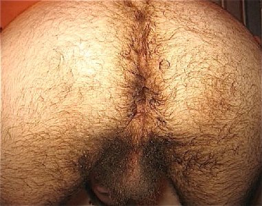 HairyManAss-0063.jpg