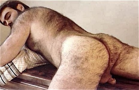HairyManAss-0081.jpg