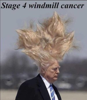 windmill cancer .jpg