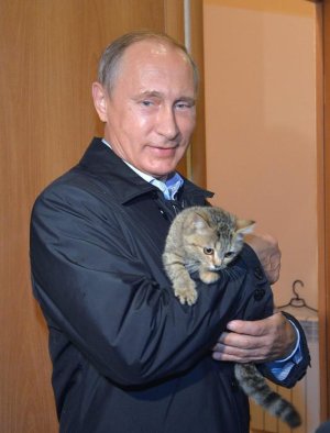 mrpuss 3 vlad putin .jpg
