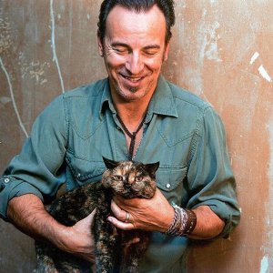 mrpuss 4  bruce springsteen .jpg