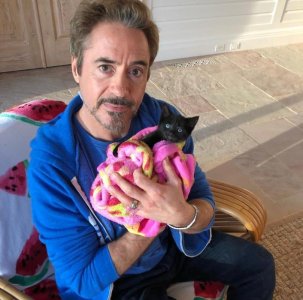mrpuss 5  robert downey jr  .jpg