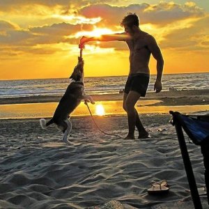 Daniel Ben Harosh 14733728.jpg