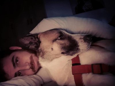 Daniel Ben Harosh 83534301.jpg