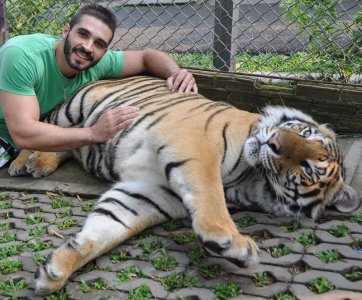 Thailand. Tiger Kingdom, Chiang Mai 13413227.jpg