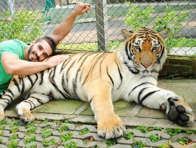 Thailand. Tiger Kingdom, Chiang Mai 13525317.jpg