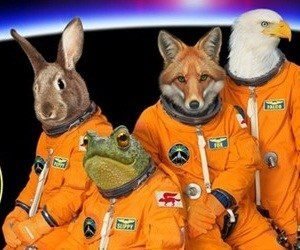 foxandothersinspace.jpg