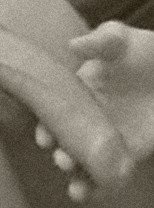 Pennys_cock.jpg Pennys_cock.jpg