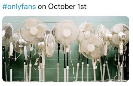 onlyfans .jpg onlyfans .jpg